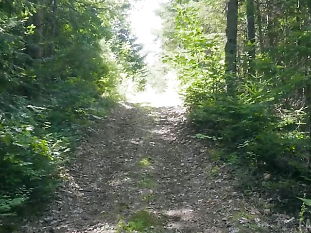 Wild sex outdoors and hallucinations with Bree Daniels and Bella Rolland