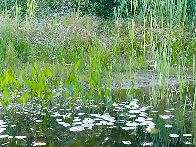 Wild sex outdoors and hallucinations with Bree Daniels and Bella Rolland