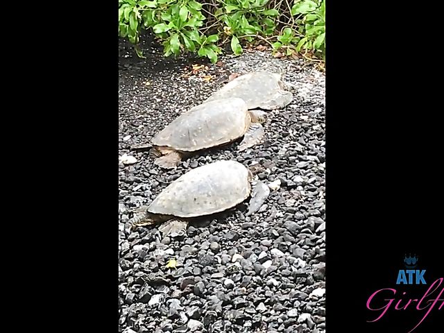 Nudist beach posing and sex by the ocean with Kenzie Reeves