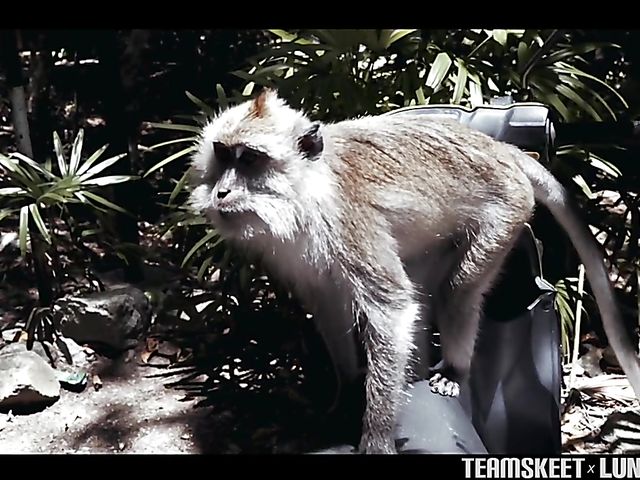 Asian girlfriend Luna gives an outdoor blowjob by the sea on vacation 