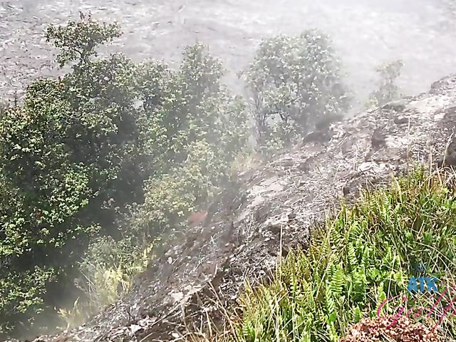 Bella Rose's POV ATK Girlfriends chronicles