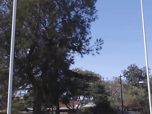 Sporty lesbians threesome with Katie Gee, Violet Devine and Willow Gashes