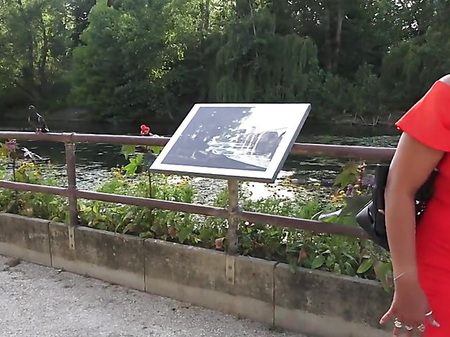 Anal mature whore in red Sonia gets her experienced ass banged again