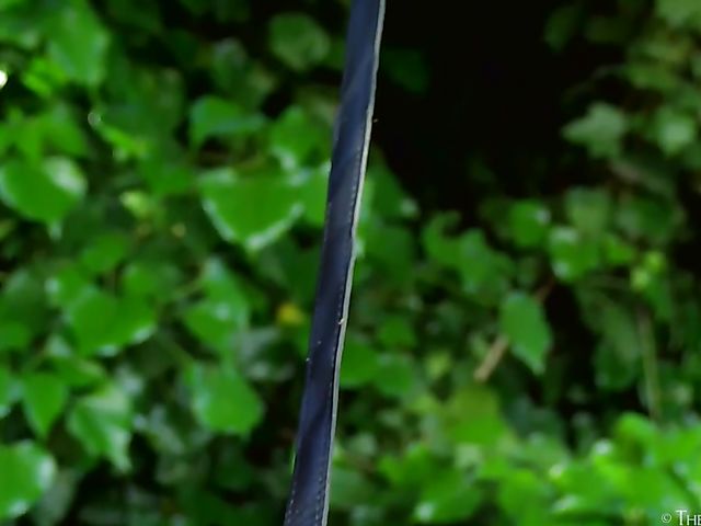 Outdoor bondage solo and wet hairy orgasm with teen Selva