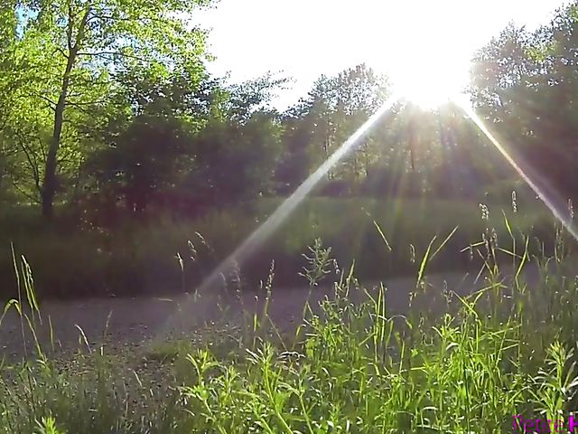 Lesbian picnic and girl on girl love in nature with Elza A and Mette