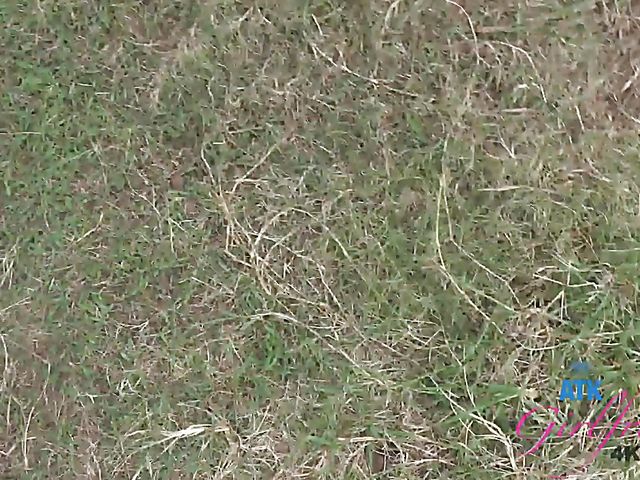 ATK GF Chloe Temple spreading pussy and showing her tampon in the car on the way to the ocean