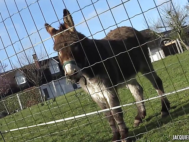 French BBW stockings fuck with pigtailed Alexandra