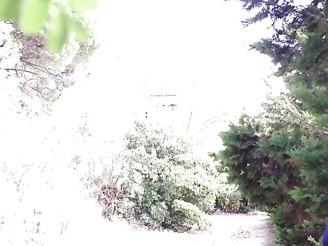 Spanish blowjob and cum outdoors with Ginebra Bellucci