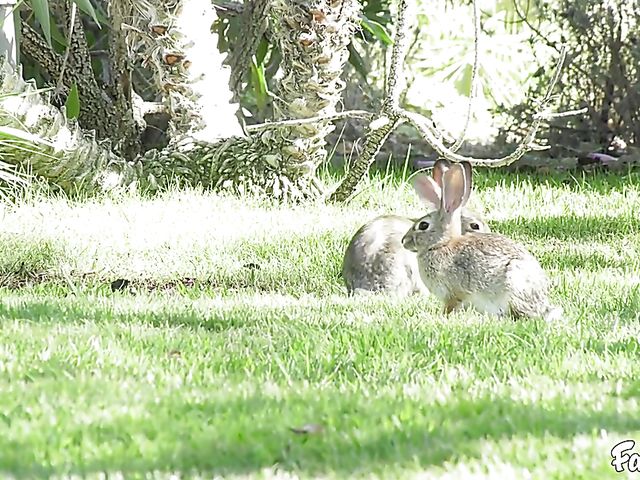 Lesbian nun Isabella Nice helps horny Brooklyn Gray