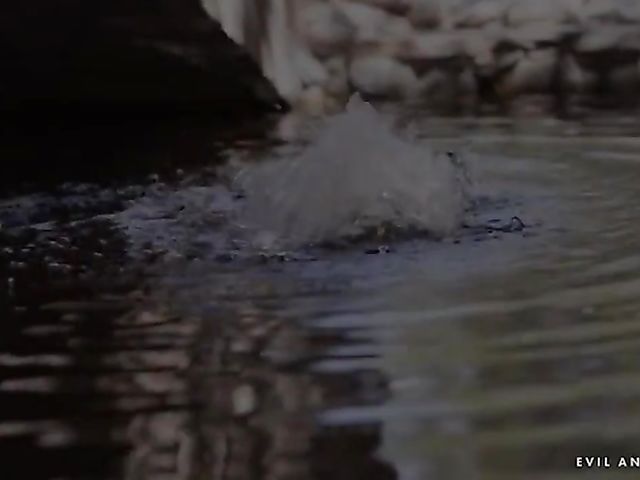 Evil Angel anal movie featuring sinful nuns and horny priests doing dirty things