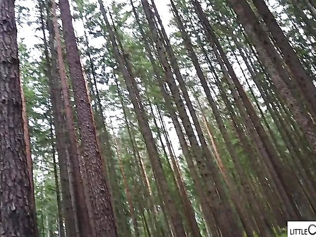 Little Caprice POV on holiday with her lucky boyfriend