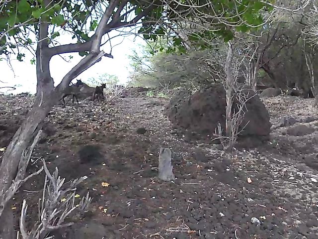 Teen ATK girlfriend Winter Jade peeing outdoors and getting fingered at home