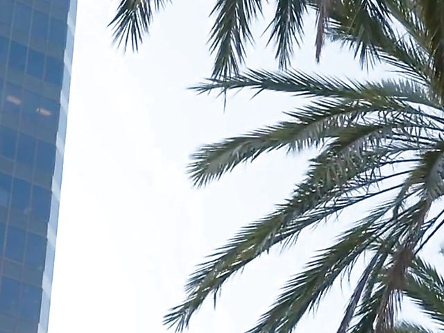 Blonde anal fucked featuring Kenna James, Alice Pink, Ashley Red and Sophia Lux