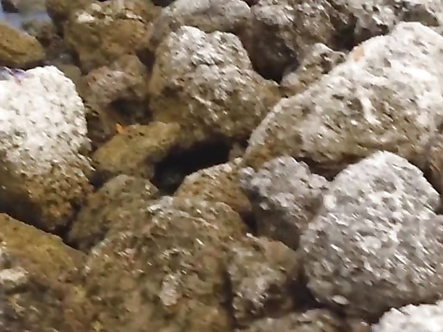 Teen masturbating and getting naked in public featuring Ziva