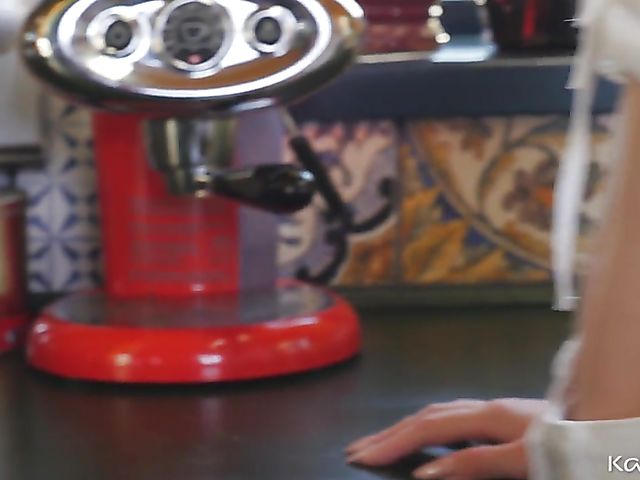 Young skinny Monika Wild gets slammed in the kitchen