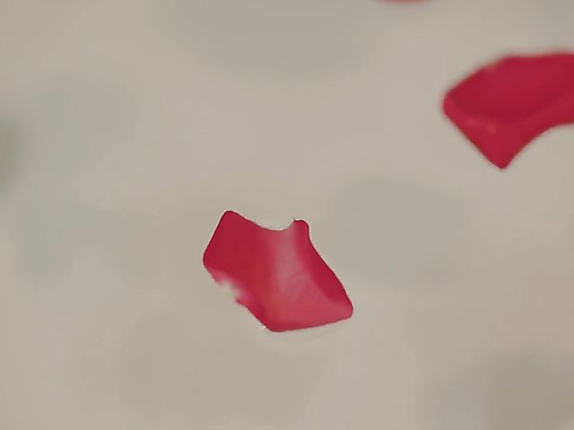 Interracial teen bath fuck with hot and wet Natalie Knight