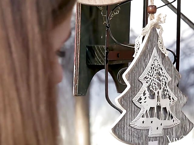 Romy Indy & Stella Cardo - Lesbian kitchen lovemaking before Christmas