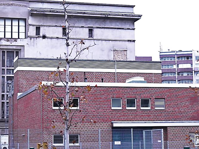 Short hair interracial girl Gabi Gold gets blacked in the hostel