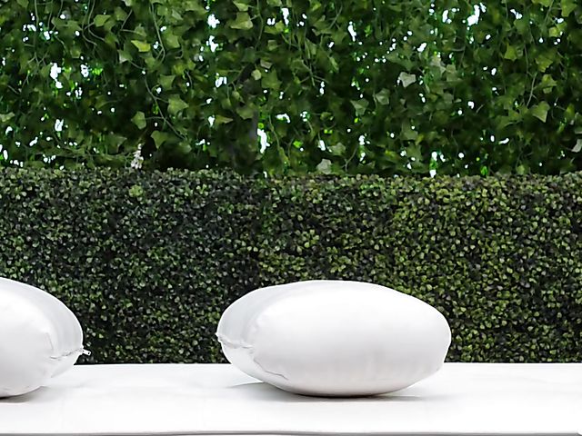 Black girl casting with Kelly sucking a white cock POV