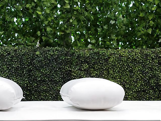 Black girl casting with Kelly sucking a white cock POV