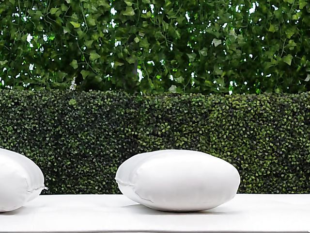 Black girl casting with Kelly sucking a white cock POV