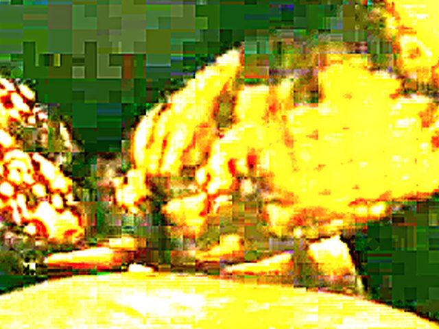 Young slut moans loudly as she gets fucked