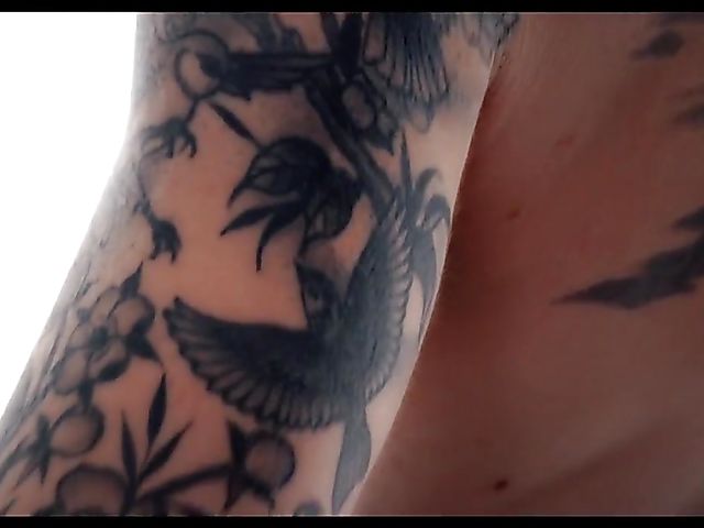 Tattooed pussy fucking compilation featuring Avery Black, Genevieve Sinn and Janey Doe