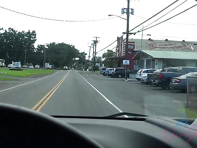 Melody Marks - GF car BJ on the way to the ocean