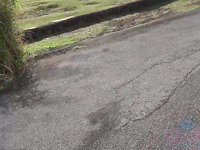 Melody Marks - GF car BJ on the way to the ocean