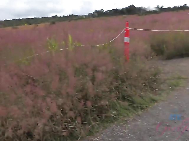 Melody Marks - GF car BJ on the way to the ocean