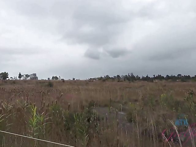 Melody Marks - GF car BJ on the way to the ocean