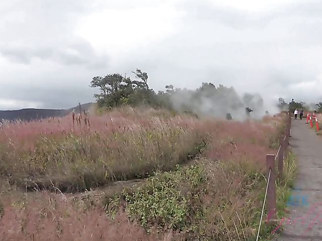 Melody Marks - GF car BJ on the way to the ocean