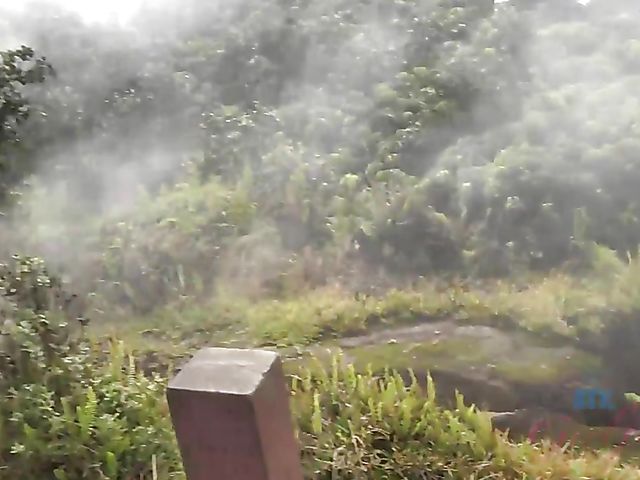 Melody Marks - GF car BJ on the way to the ocean