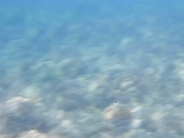 A day with his really hot girlfriend Sky Pierce