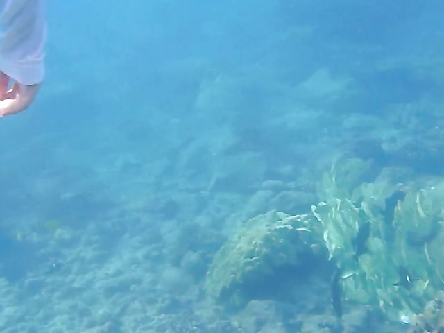 A day with his really hot girlfriend Sky Pierce