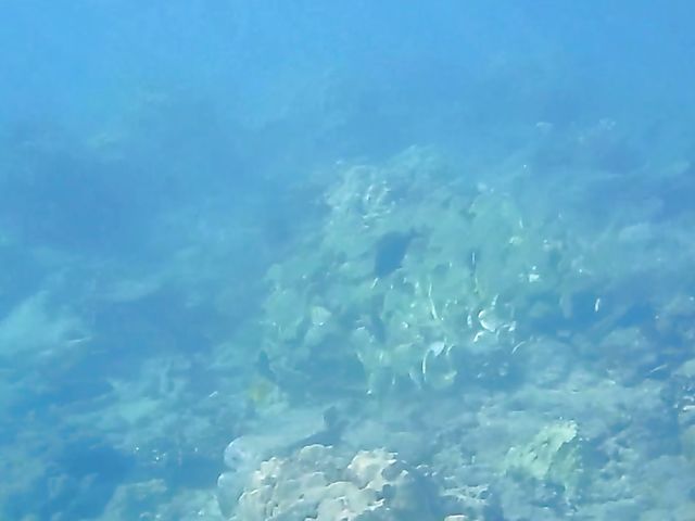 A day with his really hot girlfriend Sky Pierce