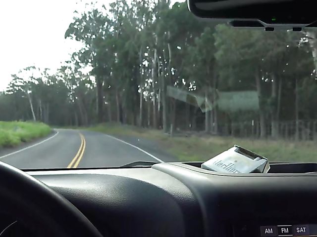 A day with his really hot girlfriend Sky Pierce