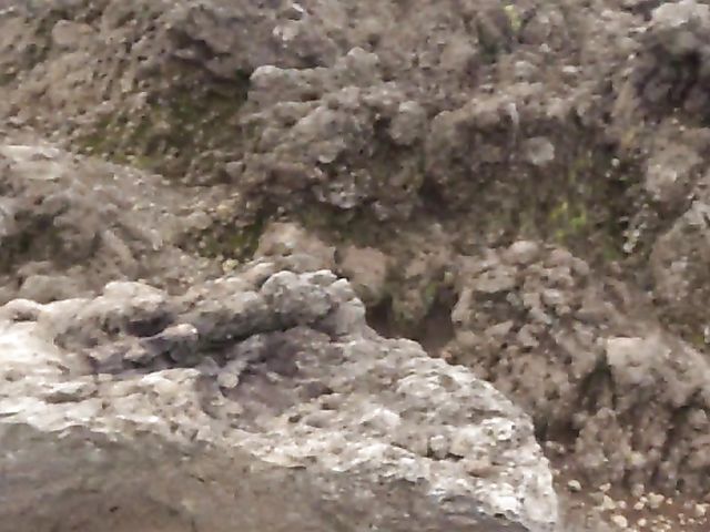 A day with his really hot girlfriend Sky Pierce