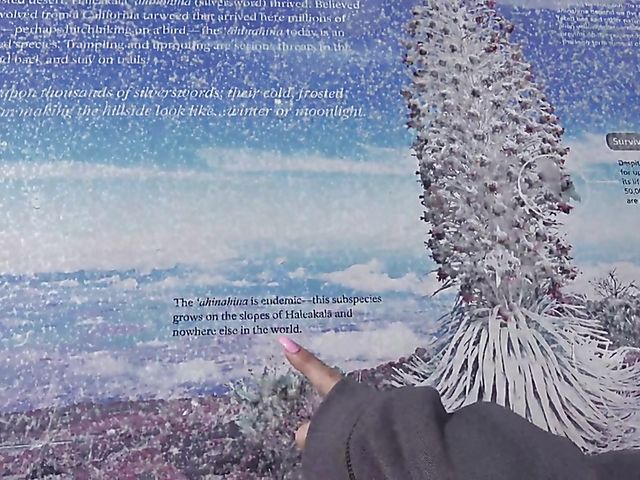 A day with his really hot girlfriend Sky Pierce