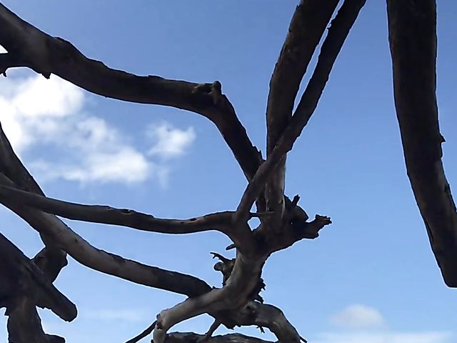 A day with his really hot girlfriend Sky Pierce