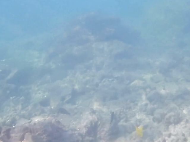 A day with his really hot girlfriend Sky Pierce