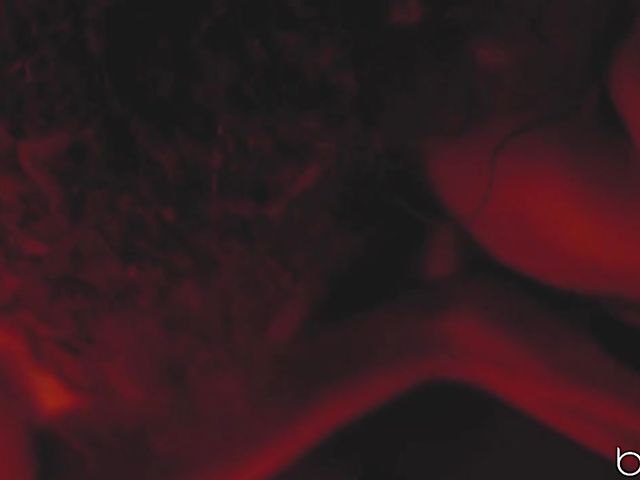 Scarlit Scandal - Romantic black couple fucking in the bedroom