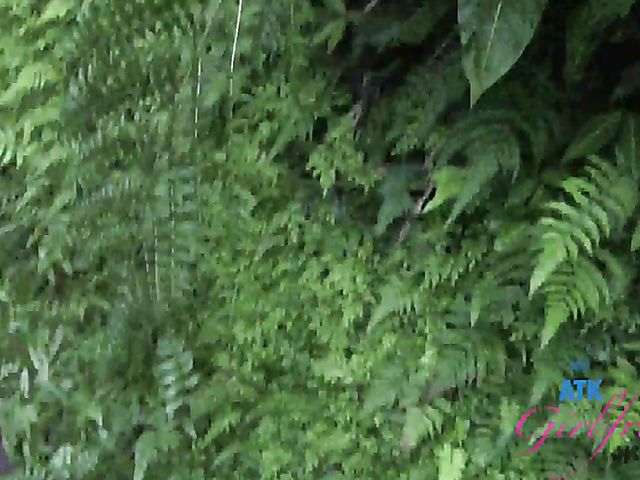 Melody Marks ATK Girlfriends sex adventure