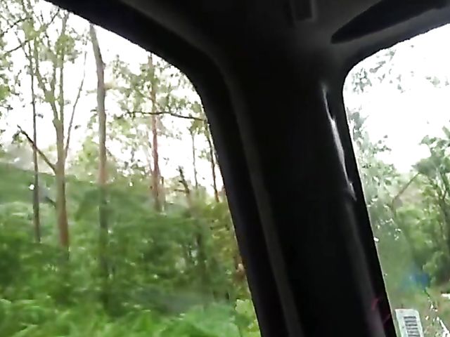 Car POV with naughty Sky Pierce who can't stop showing her snatch