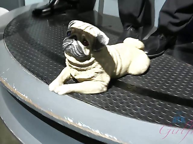 POV girlfriend Riley Star having fun and getting nasty