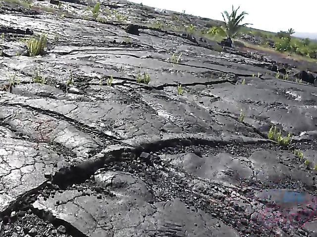 Sex adventures of cute young Melody Marks