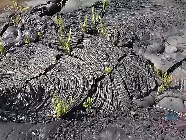 Sex adventures of cute young Melody Marks