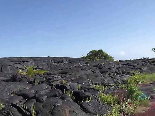 Sex adventures of cute young Melody Marks