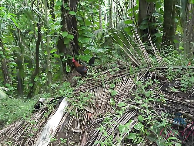 Sex adventures of cute young Melody Marks