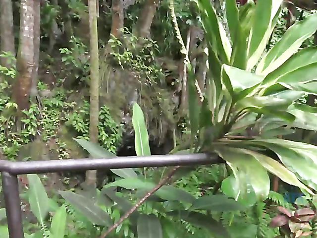 Sex adventures of cute young Melody Marks